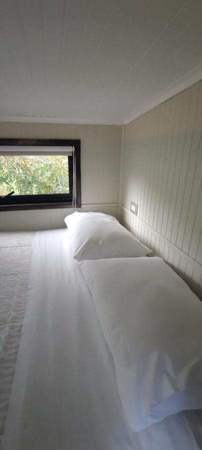 Cabanas Alto Bosque Pucón Extérieur photo